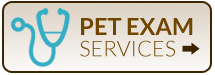 Pet Exam Services