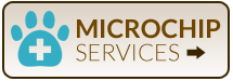 Microchip Services